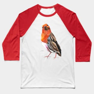 Robin 2 Baseball T-Shirt